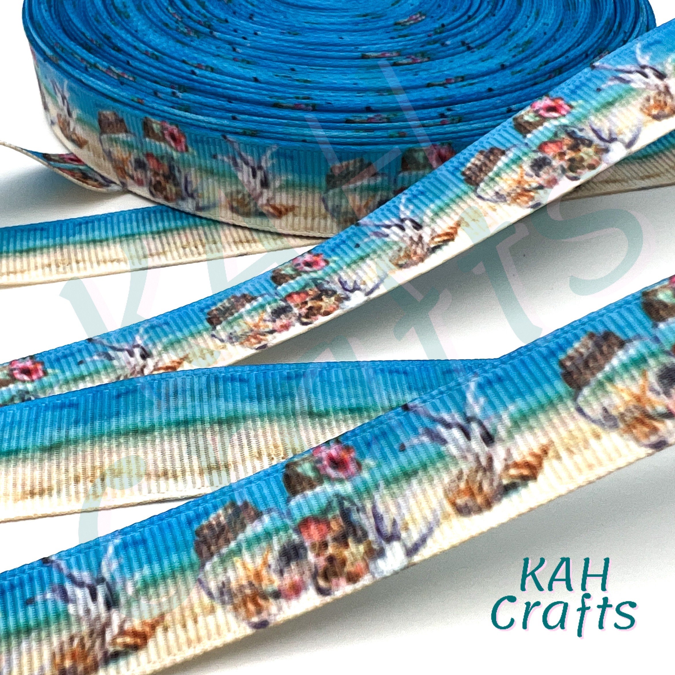 Shell Ribbons USDR Jar of Shells Beach Sand Water Sky Double Sided Grosgrain Ribbon ...