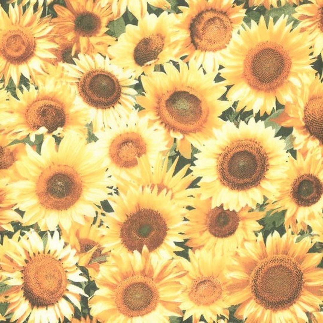 Sunflower Floral Fabric Large Sunflower Print Patty Reed Etsy