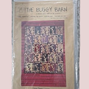 Quilt Pattern, Buggy Barn, Cone Flower Crazies Pattern, Flower Blocks, Buggy Barn, Very RARE OOP Pattern - QP6022