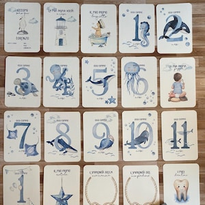 Carte Nascita Neonato e primo anno. Set Card per foto primi ricordi animali del mare. Idea regalo Nascita/Baby Shower- PERSONALIZZABILE