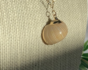 Gold Rimmed Seashell Necklaces