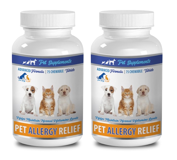 allergy relief from dogs
