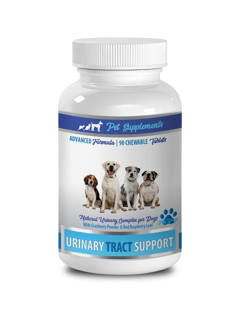 Infection urinaire complète pour les chiens Support de Etsy France
