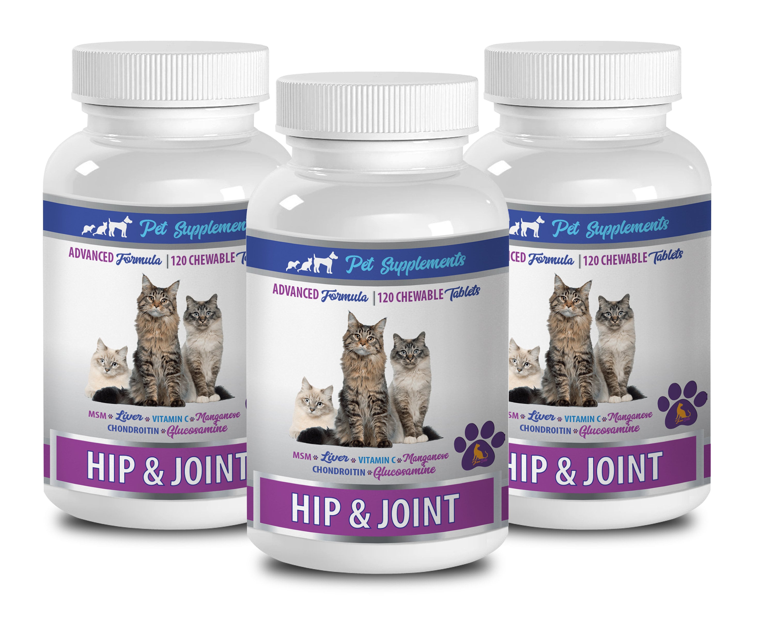 Joint Supplement For Cats Uk Cat Meme Stock Pictures and Photos