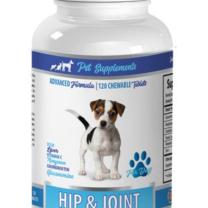joint care for dogs - Hip & Joint Support - For Dogs - Chewable - glucosamine chondroitin for dogs chewable tablets - 1 Bottle -120 TABLETS