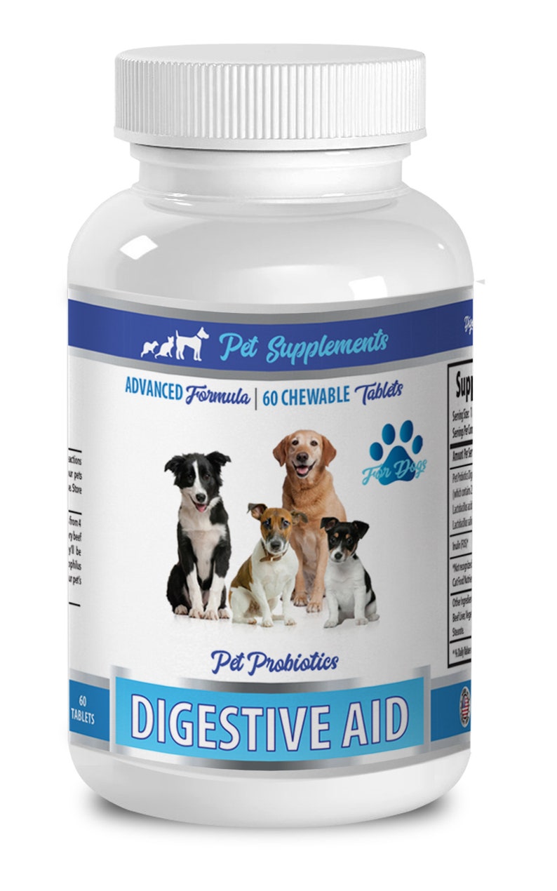Chien digestive enzymes et probiotiques formule aide à la digestion