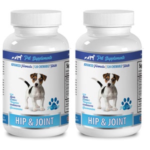 dog joint treats - Hip & Joint Support - For Dogs - Chewable - dog chondroitin and glucosamine combination - 2 Bottle (240 Chewable Tablets)