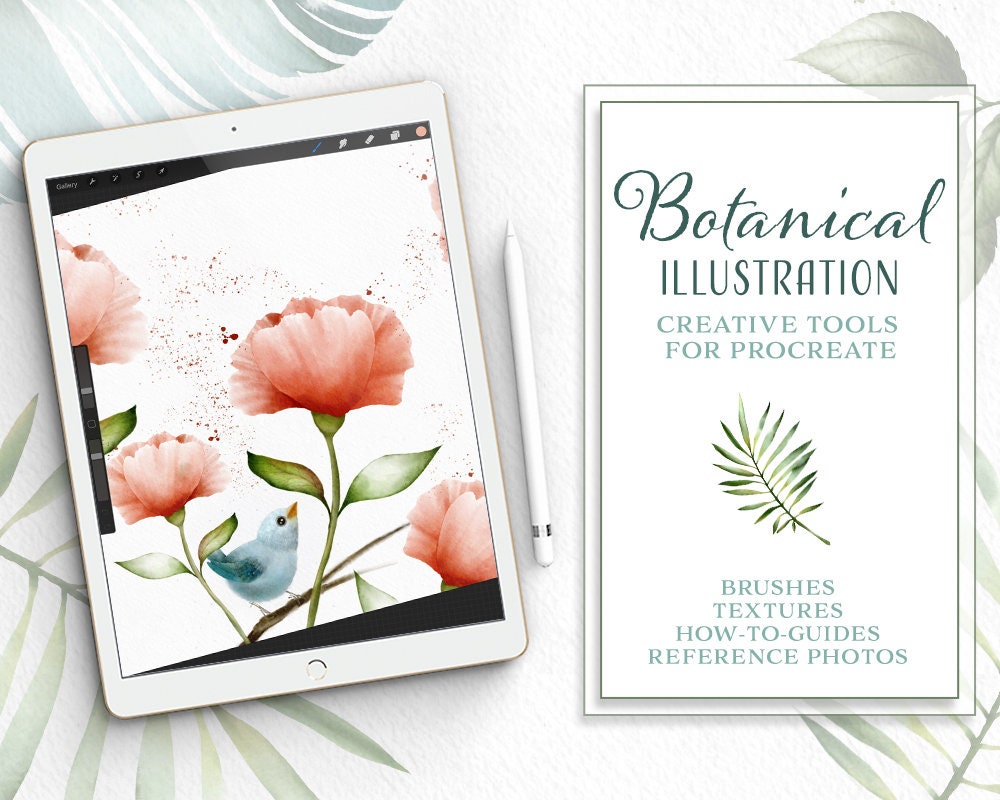 Botanical Illustration Toolkit For Procreate App On Ipad Etsy Botanical Illustration Toolkit For Procreate App On Ipad Etsy