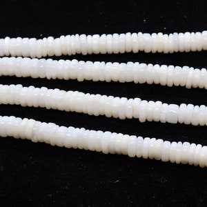 May include: A strand of white shell beads, with each bead having a slightly irregular, flat, rectangular shape.