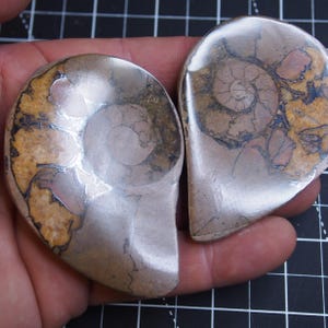Coppia di ammoniti in ematite, 79 mm, fossili giurassici del Marocco, Ammoniten 019
