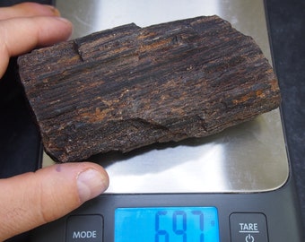 697gr Czech Petrified wood Fossil Plant Tree Upper Carboniferous