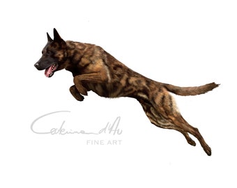 Dutch Shepherd dog, digital drawing, realistic digital art - PNG available of this digital dog drawing by Caterinadau - Digital painting