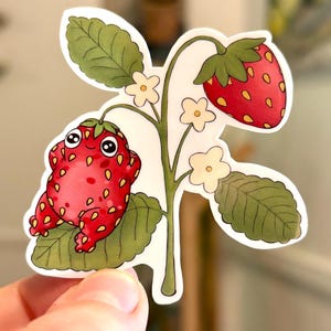 May include: A colourful sticker showing a strawberry frog and a strawberry plant. The frog is red with large eyes, sitting on a green leaf. The plant has a ripe red strawberry and small white flowers.