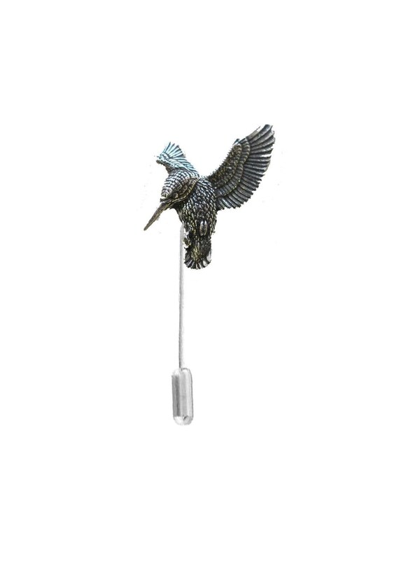 picture of kingfisher picture of kingfisher bird