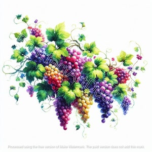 10 Vibrant Grape Vine Clip Arts, Digital Art Download