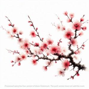 5 splendide clip art di rami di ciliegio in fiore, download di arte digitale