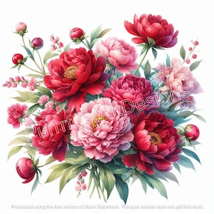 5 lebhafte rote und rosa Pfingstrosen Clip Art, Digital Art Download