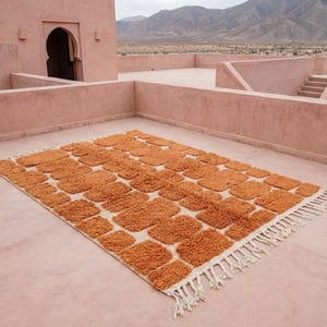 May include: A rectangular, orange and cream-colored rug with a geometric pattern of squares. The rug has a shaggy texture and a fringe along the edges. The rug is placed on a pink concrete surface, with a desert landscape in the background.