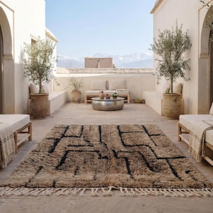 May include: A neutral-toned, rectangular rug with a geometric black design and fringe detail. The rug is placed on a stone patio, surrounded by seating, potted plants, and a metal coffee table. The scene is bathed in natural light.