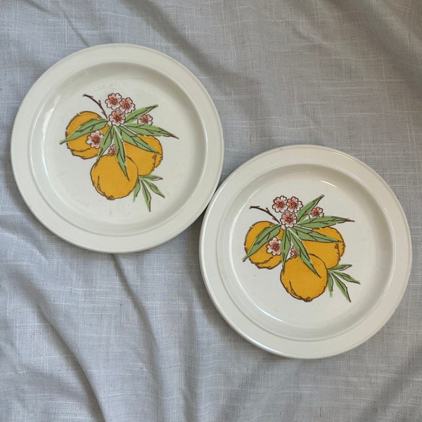 Vintage 1979 Homer Laughlin Plates • Oranges