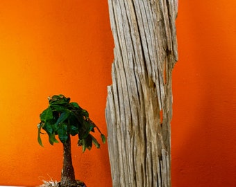 Natural Beauty Driftwood Sculpture 100cm Old Wood Decoration