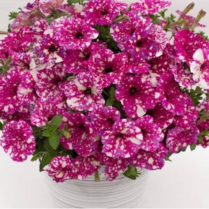 May include: A set of three ceramic mugs with a speckled, matte finish. The mugs are in shades of cream, light gray, and dark gray. Each mug has a simple, minimalist design, perfect for coffee or tea.