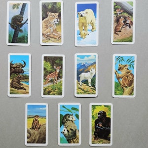 Lot de 48 cartes à thé COMPLET - Édition 1972 - « Les animaux et leurs petits »