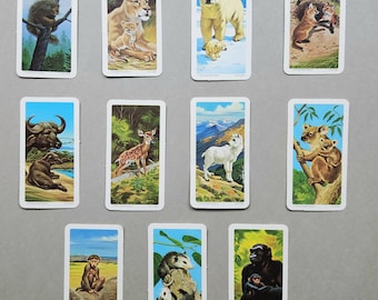 FULL Tea Card Set of 48 - 1972 issued - &quot;Animals and Their Young&quot;