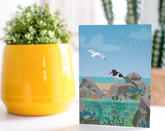 Rockpooling / Greetings Card / Notecard / British Beach Coastal Wildlife / Digital Illustration