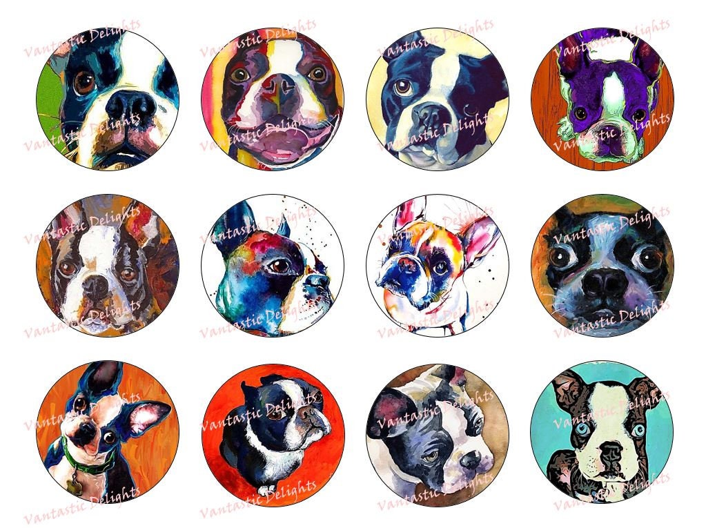 50 Edible Cocktail Toppers Boston Terrier Dog Wedding Beverage