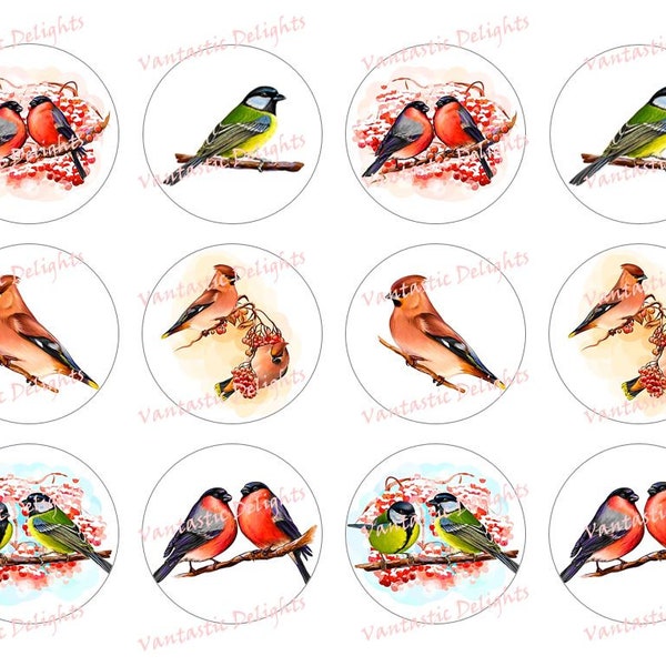 PRINTABLE Beautiful Birds, Bullfinches, Tit Bird, Waxwing, Winter Birds, Sitting on Branch, Cupcake Toppers, 2" inches, Pdf DIGITAL DOWNLOAD