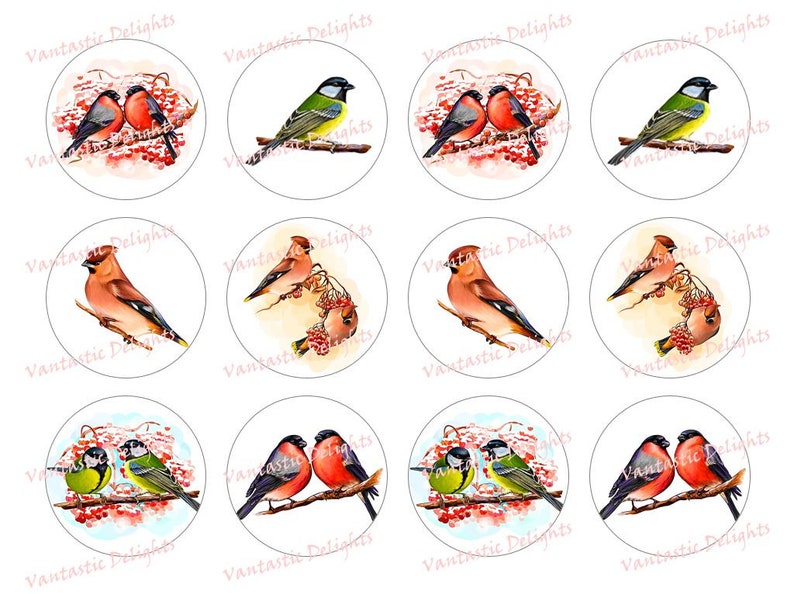 PRINTABLE Beautiful Birds, Bullfinches, Tit Bird, Waxwing, Winter Birds, Sitting on Branch, Cupcake Toppers, 2 inches, Pdf DIGITAL DOWNLOAD image 1