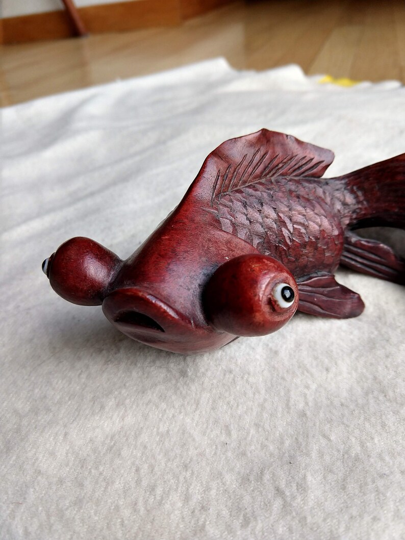 where can i buy cheap koi fish where can i buy cheap koi fish