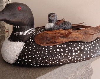 This lifelike Common Loon will delight your senses and enhance your room decor.