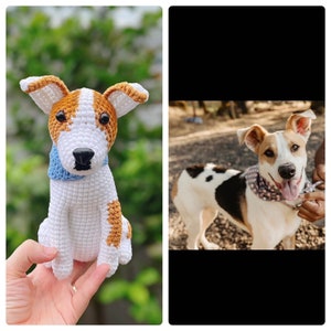 Custom dog, customize cat, custom cat, personalize animal, pet memorial, handmade dog look alike,crochet dog, Christmas gift