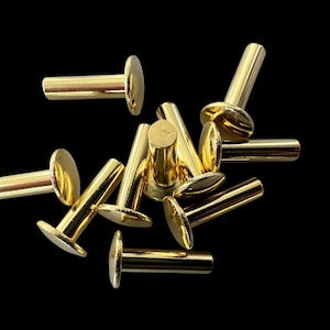 May include: A close-up of a pile of gold-colored metal rivets. The rivets have a round head and a cylindrical shaft.