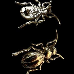 May include: Two gold-colored insect sculptures are displayed against a black background. The insects have detailed bodies, legs, and antennae. The sculptures are likely made of metal and are positioned at different angles.