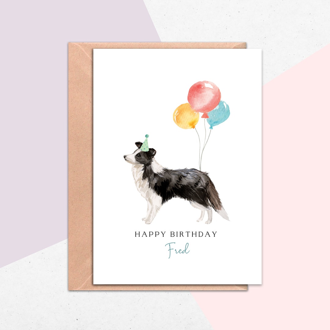 Border Collie Birthday Card From the Dog Birthday Card for - Etsy
