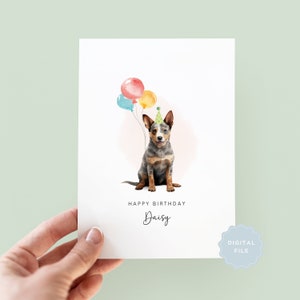 Printable Australian Cattle Dog Birthday Card from the Dog, Birthday Card for Dog Dad, Birthday Card for Dog Mum, Pet Card, From the Dog