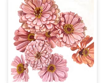 Zinnias de primavera - Impresión de 8x8"