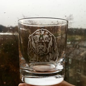 Spaniel Glass