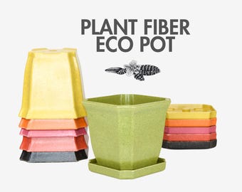 Eco Pot 4.5x4.25" With Saucer For Orchids | Rice Hull Fiber Organic Polymer Biodegradable Colorful Epiphytes Live Plant Potting Supplies