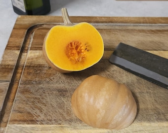 Seminole Pumpkin Seeds • 15 Seeds • Florida Home-Grown & Open-Pollinated