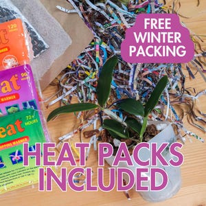 Heat Packs, Shipping Warmers Lasting 60, 72, and 96 hours
