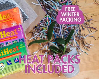 Heat Packs, Shipping Warmers Lasting 60, 72, and 96 hours