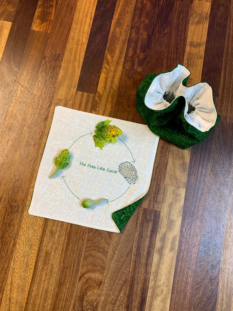 Back to school frog Montessori Life cycle Biology Montessori education The frog life cycle