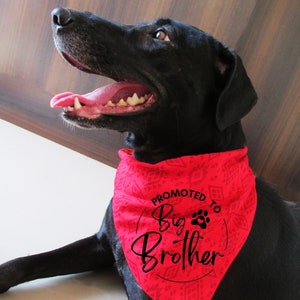 Promovido a Big Brother / Big Sister SVG para camisetas, bandanas para cães, cobertores e muito mais!