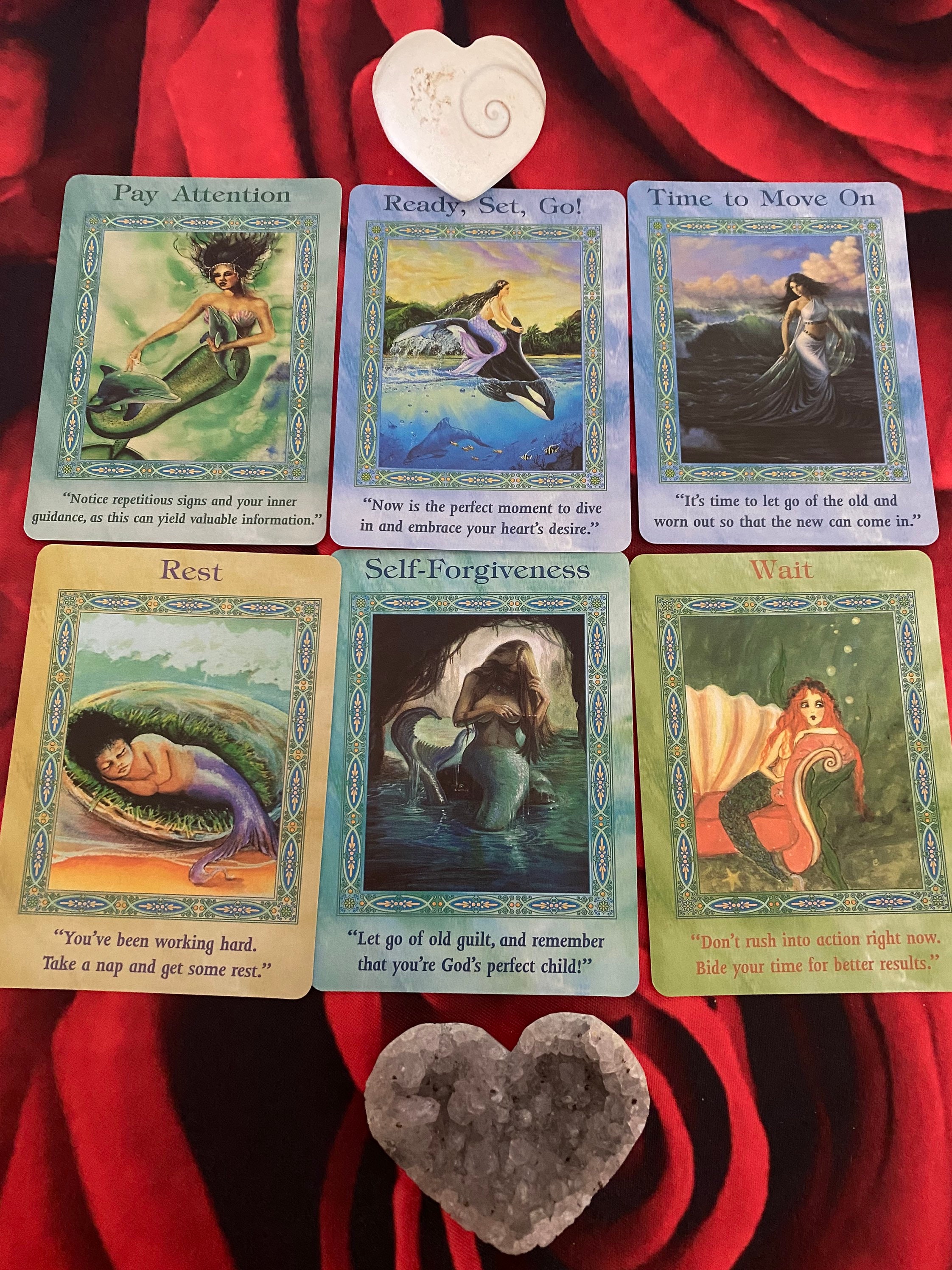 Dolphin oracle cards - Etsy 日本