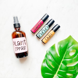 May include: A brown glass bottle with a spray nozzle labeled "Plant Spray" and three smaller brown glass bottles with colorful labels reading "Happy", "Chill", and "Rainbow".