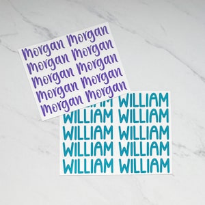 Name Decal Sheet, Sticker Name Sheet, Custom Name Decals, Back to School Labels, School Supply Decals, Name Stickers, School Supply Labels